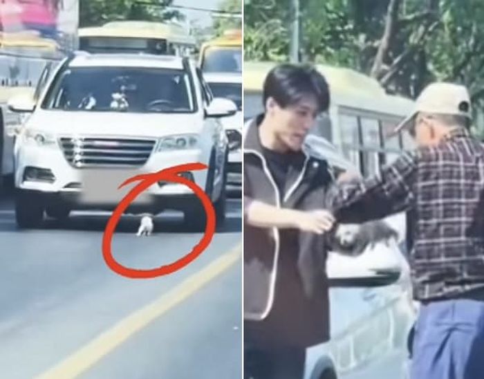 애니멀플래닛