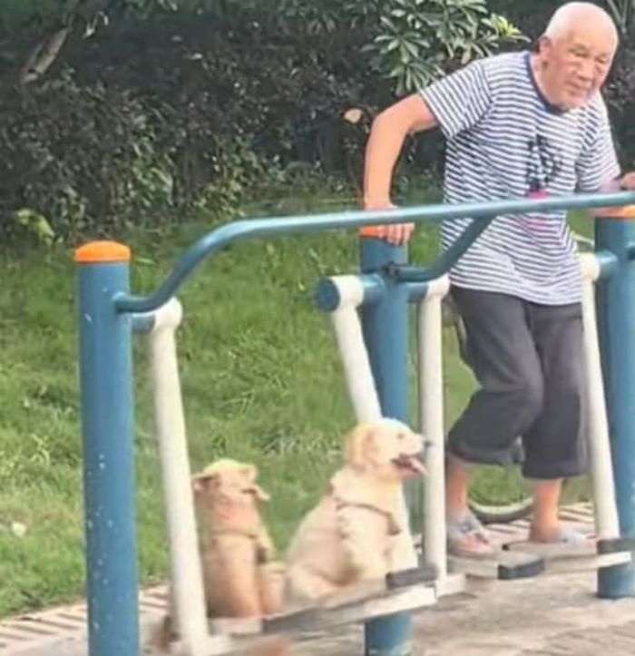 애니멀플래닛