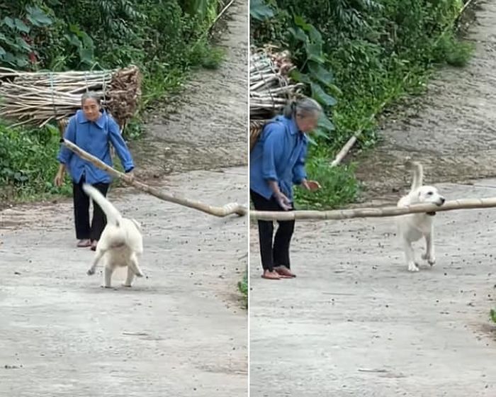 애니멀플래닛