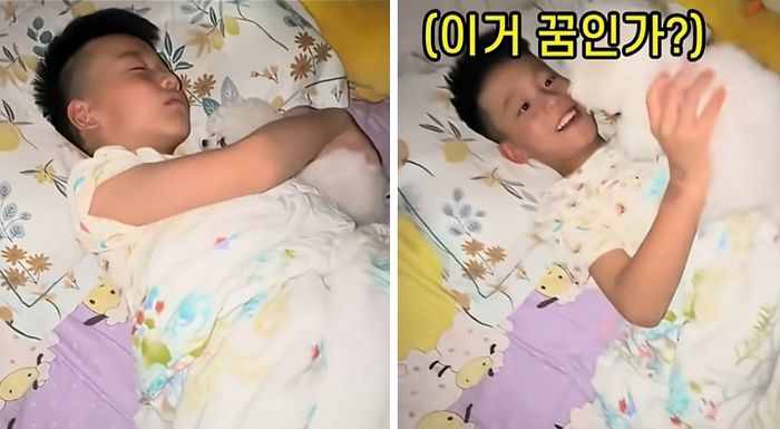 애니멀플래닛