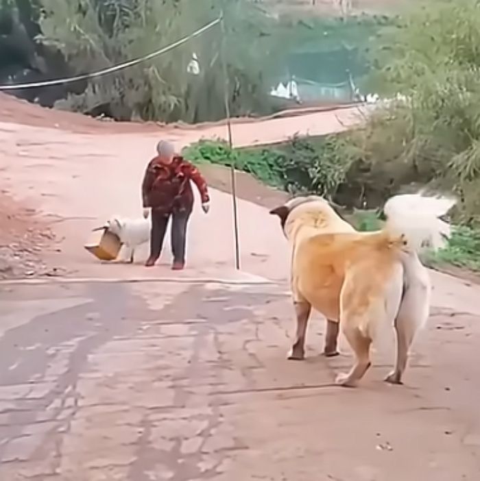 애니멀플래닛