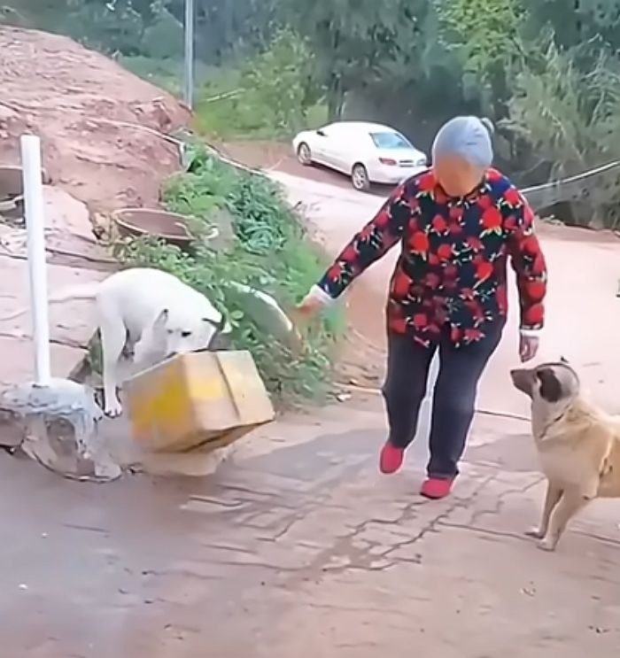 애니멀플래닛