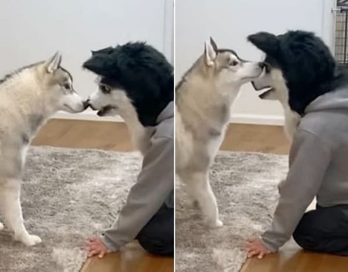 애니멀플래닛