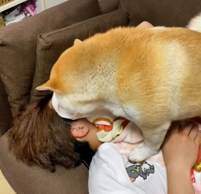 애니멀플래닛