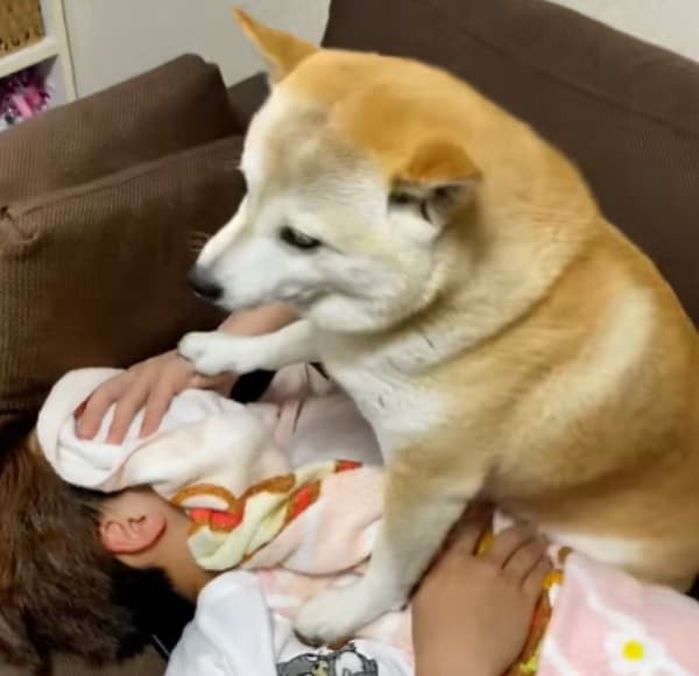 애니멀플래닛