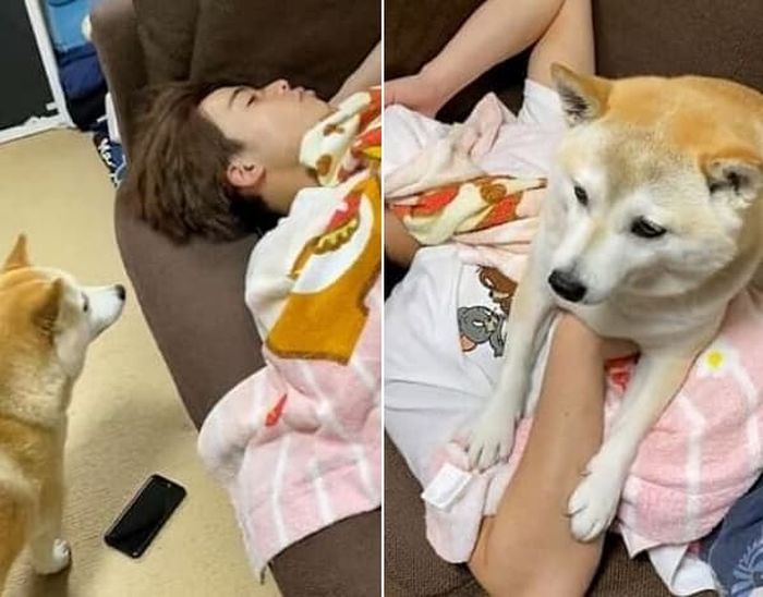 애니멀플래닛