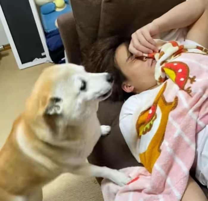 애니멀플래닛