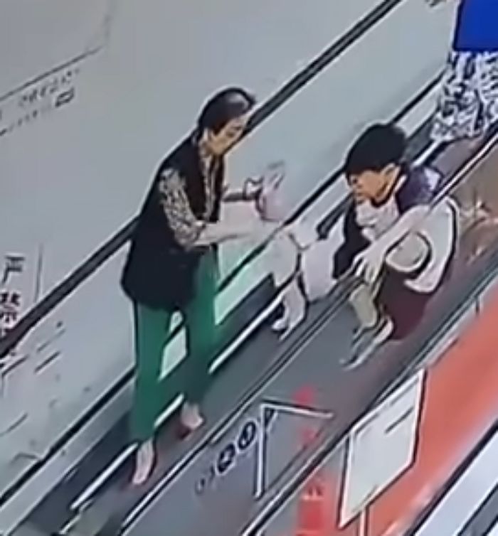 애니멀플래닛