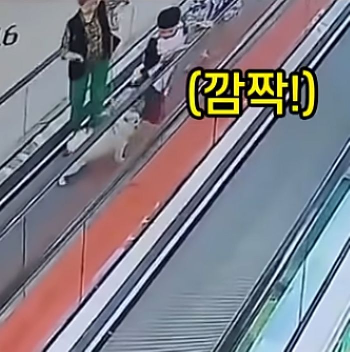 애니멀플래닛