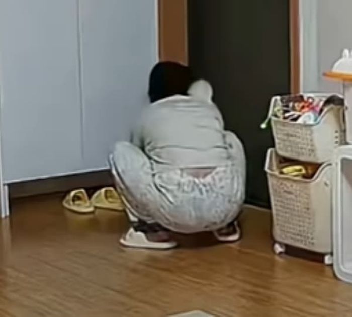 애니멀플래닛