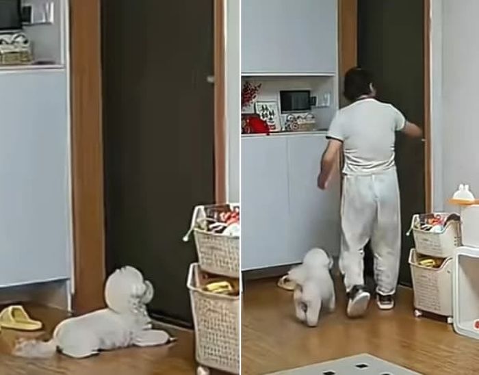 애니멀플래닛