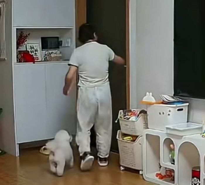애니멀플래닛