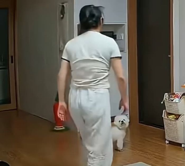 애니멀플래닛