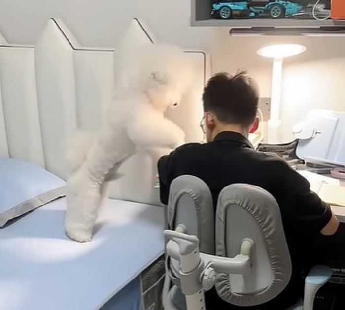 애니멀플래닛