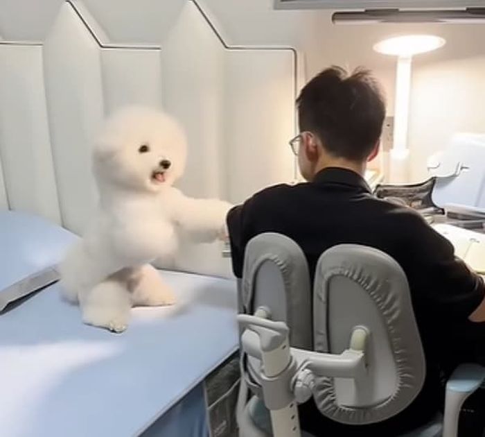 애니멀플래닛