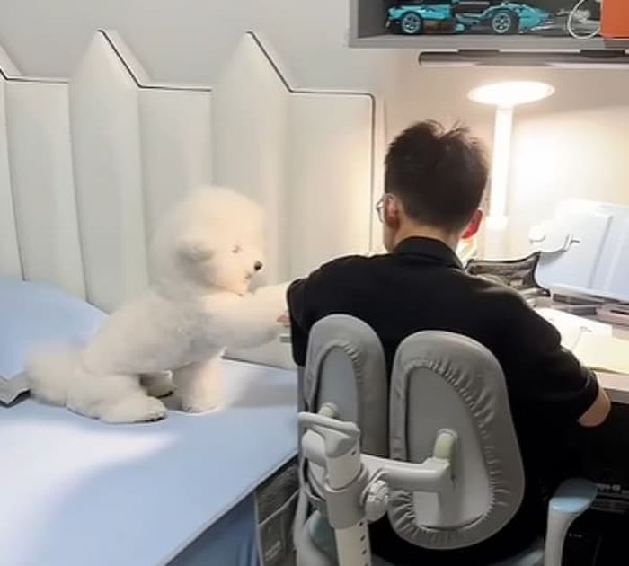 애니멀플래닛