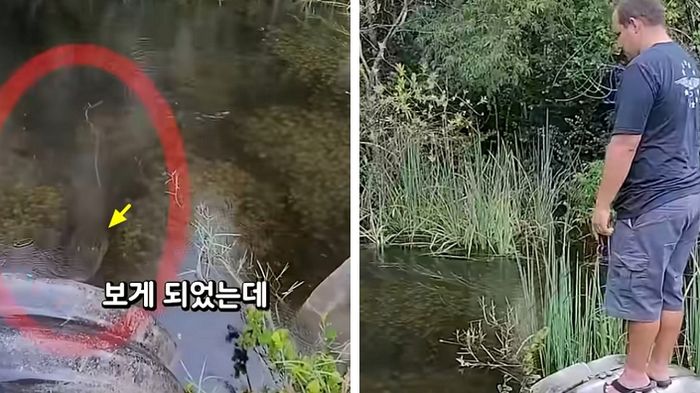 애니멀플래닛