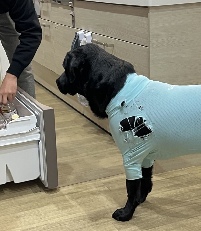 애니멀플래닛