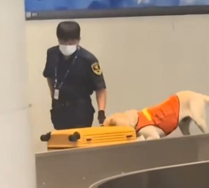 애니멀플래닛