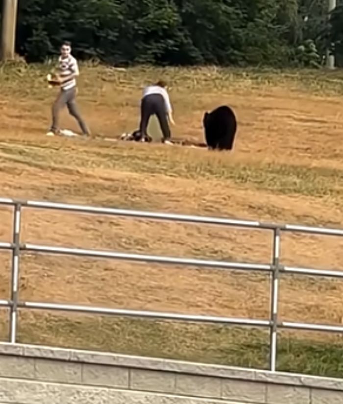 애니멀플래닛