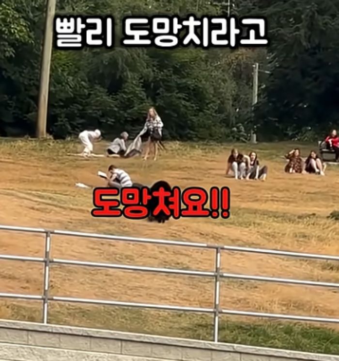 애니멀플래닛