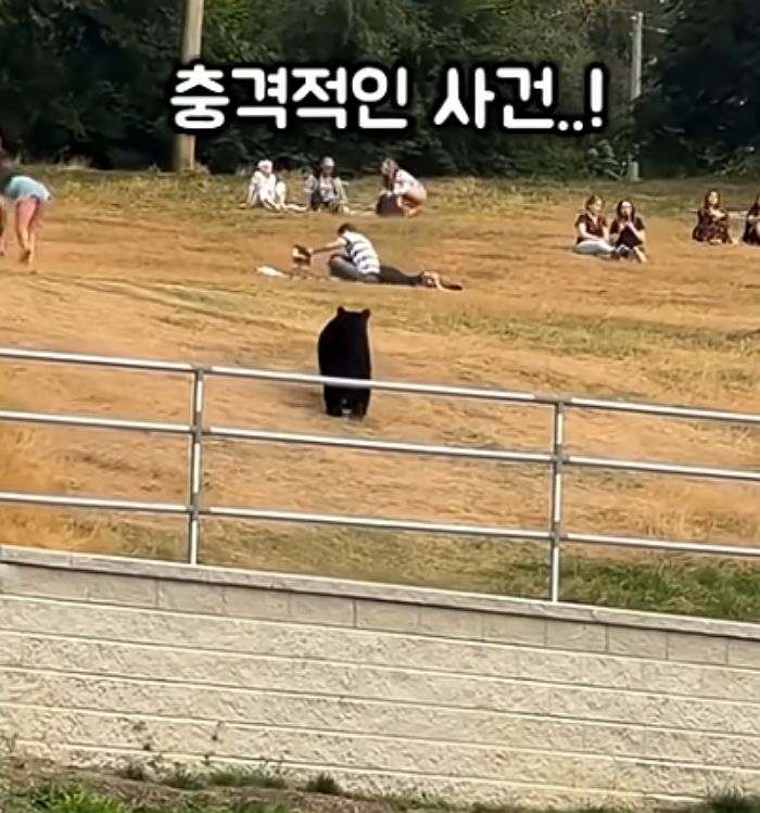 애니멀플래닛