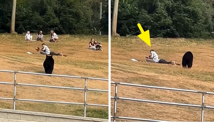 애니멀플래닛