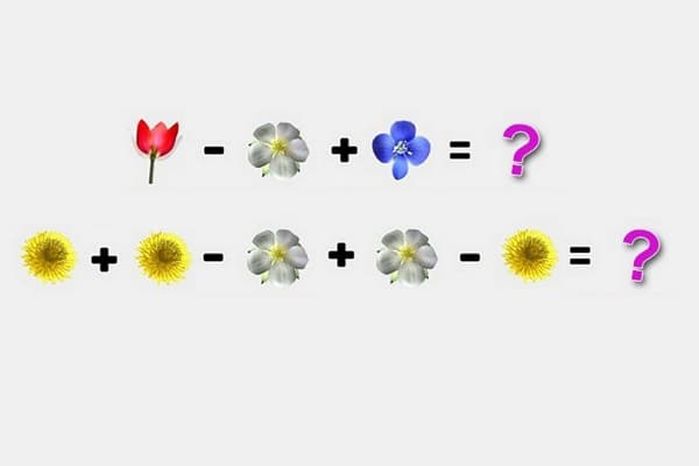 애니멀플래닛
