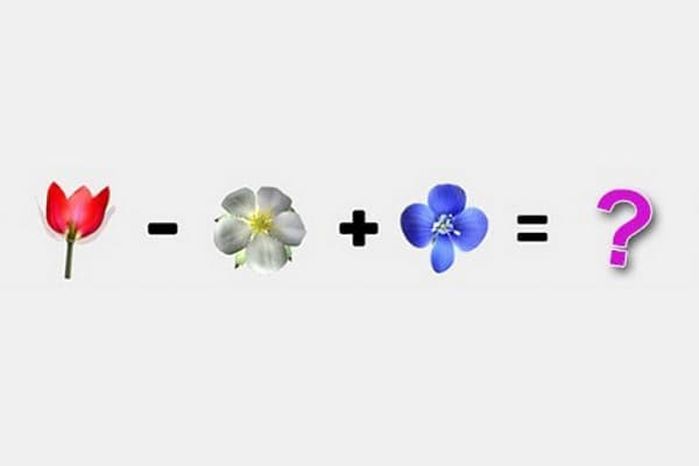 애니멀플래닛