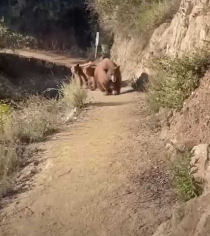 애니멀플래닛