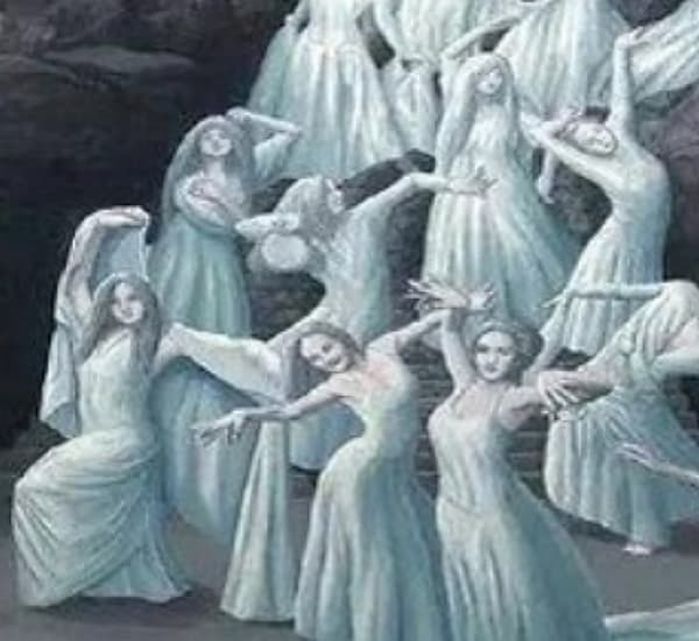 애니멀플래닛