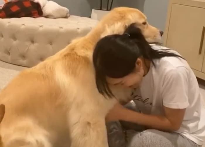 애니멀플래닛
