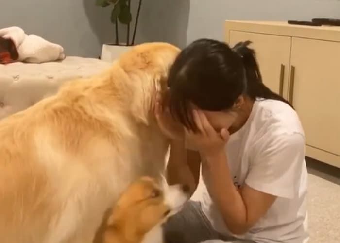 애니멀플래닛