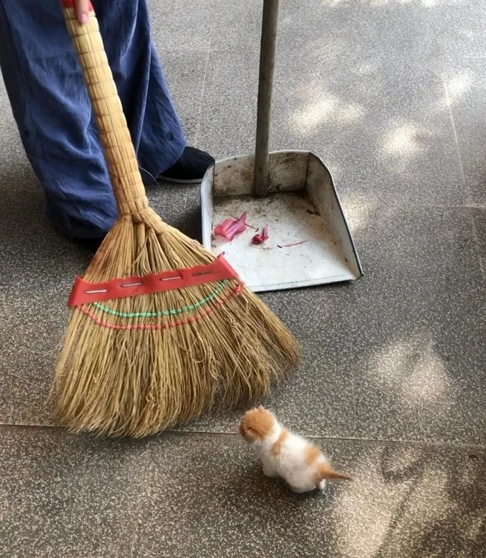 애니멀플래닛