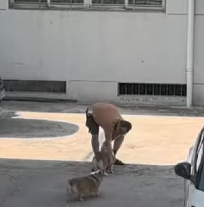 애니멀플래닛