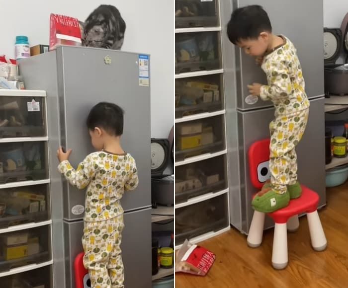 애니멀플래닛