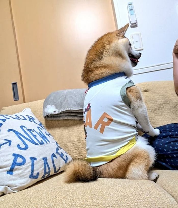 애니멀플래닛