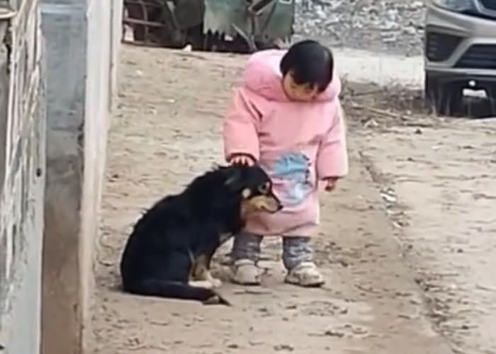 애니멀플래닛