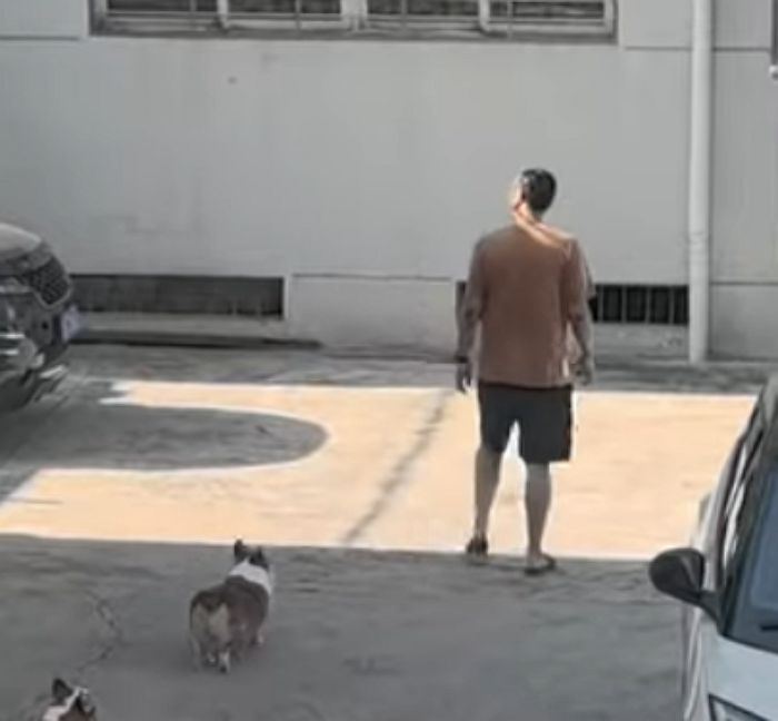 애니멀플래닛