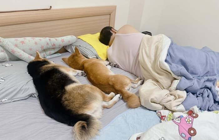 애니멀플래닛