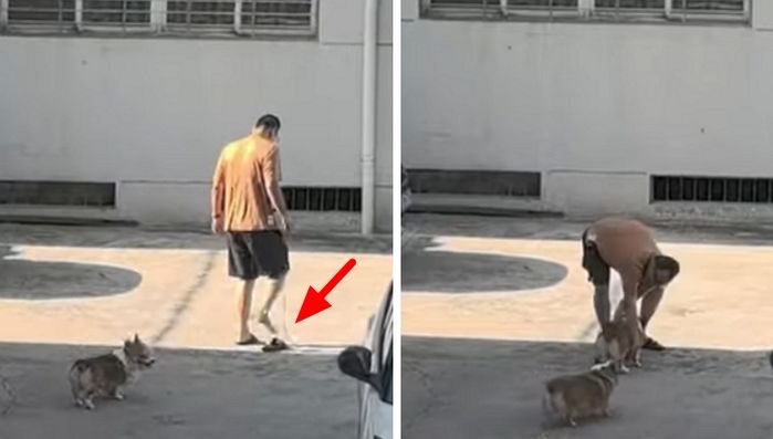 애니멀플래닛