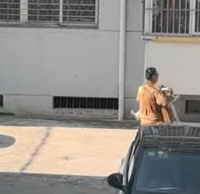 애니멀플래닛