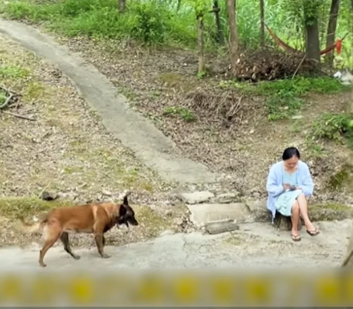 애니멀플래닛