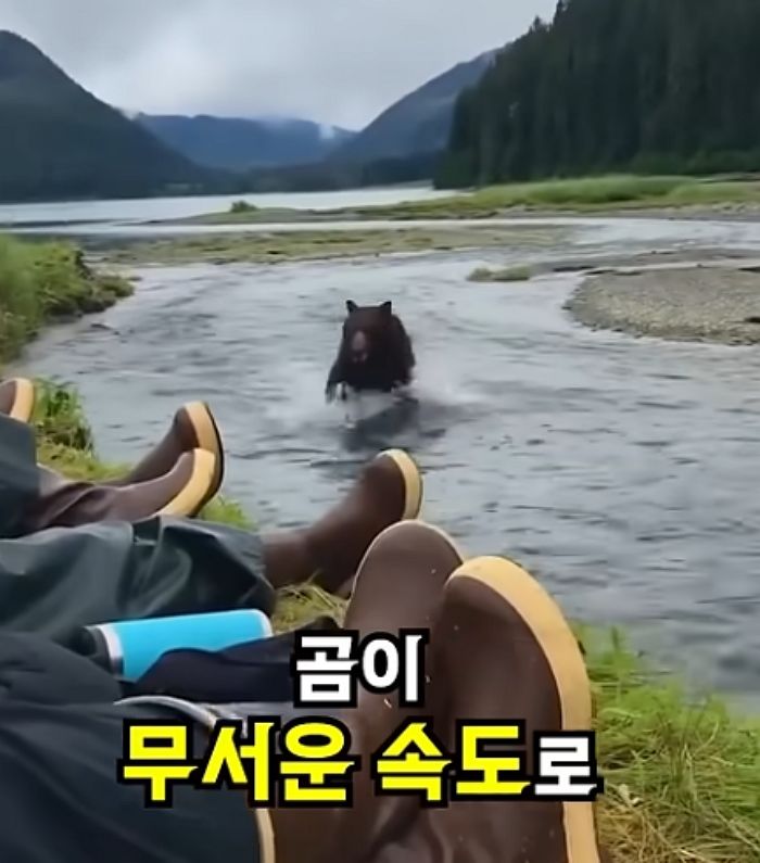 애니멀플래닛