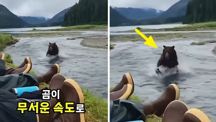 애니멀플래닛