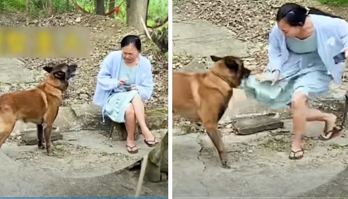 애니멀플래닛