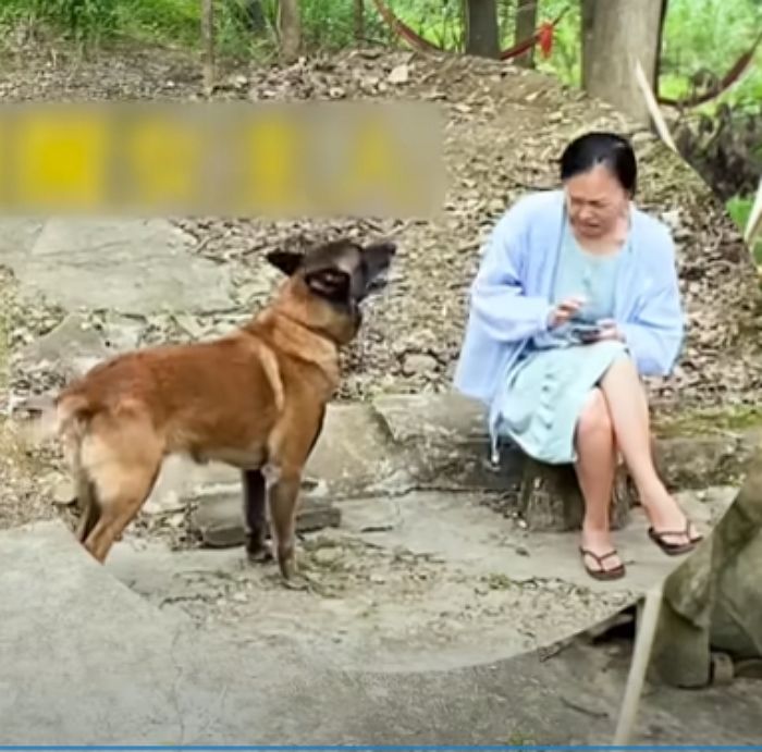 애니멀플래닛