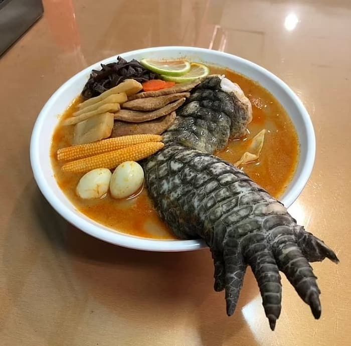 애니멀플래닛