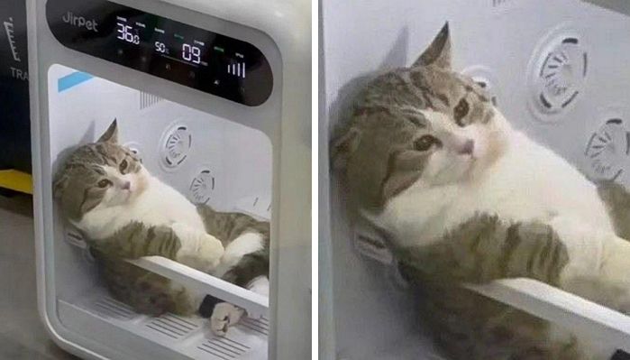 애니멀플래닛