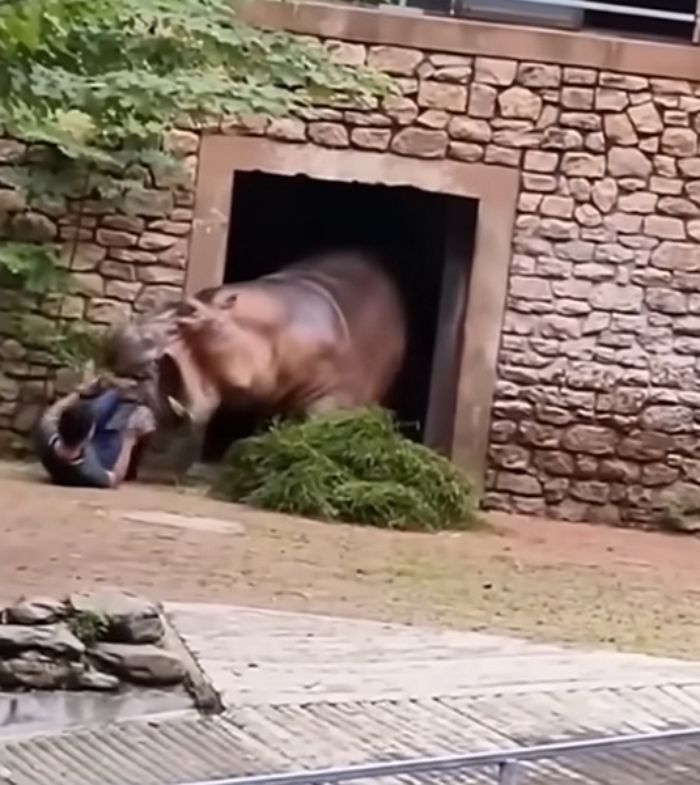 애니멀플래닛